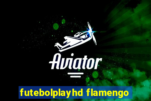 futebolplayhd flamengo